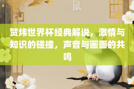 贺炜世界杯经典解说，激情与知识的碰撞，声音与画面的共鸣广西贺州市华昌新材料有限公司