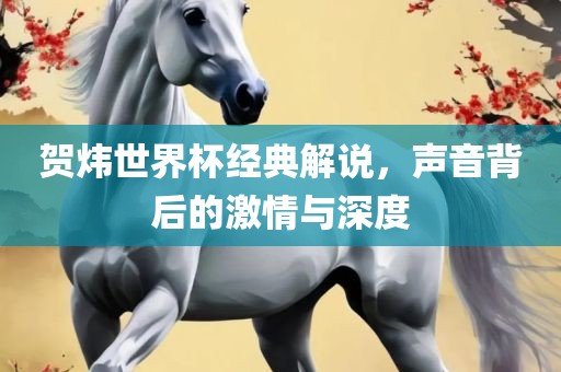 贺炜世界杯经典解说，声音背后的激情与深度