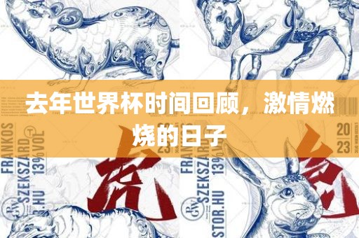 去年世界杯时间回顾，激情燃烧的日子广西贺州市华昌新材料有限公司