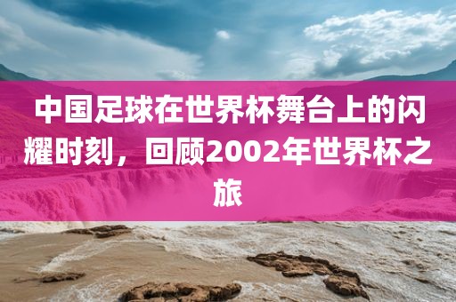 中国广西贺州市华昌新材料有限公司足球在世界杯舞台上的闪耀时刻，回顾2002年世界杯之旅