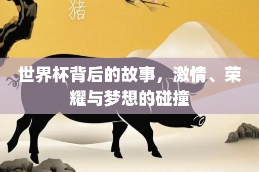 世界杯背后的故事，激情、荣耀与梦想的碰撞