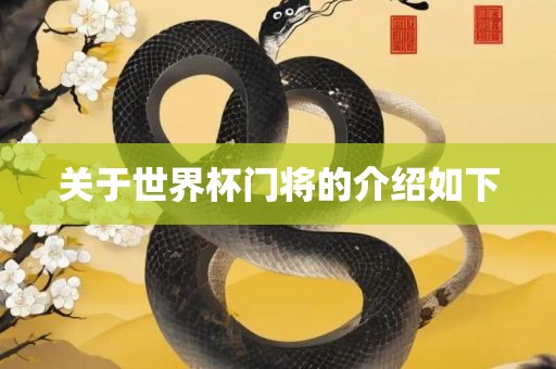 关于世界杯门将的介绍如下广西贺州市华昌新材料有限公司