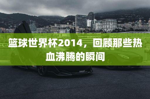 篮球世界杯2014，回顾那些热血沸腾的瞬间广西贺州市华昌新材料有限公司