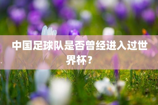中国足球队 第2页