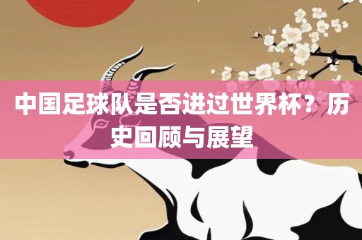 中国足球队是否进过世界杯？历史回顾与展望广西贺州市华昌新材料有限公司