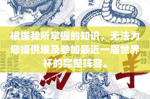 根据我所掌握的知识，无法为您提供埃及参加最近一届世界杯的完整阵容。广西贺州市华昌新材料有限公司