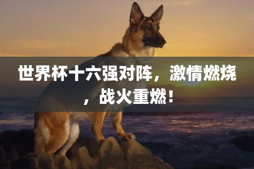 世界杯十六强对阵，激情燃烧，战火重燃！广西贺州市华昌新材料有限公司