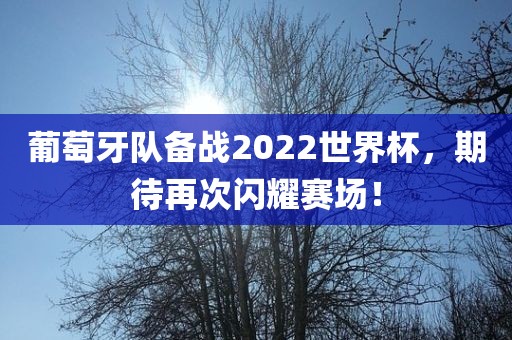 广西贺州市华昌新材料有限公司葡萄牙队备战2022世界杯，期待再次闪耀赛场！