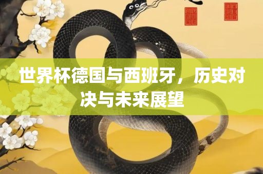 世界杯德国与西班牙，历史对决与未来展望广西贺州市华昌新材料有限公司