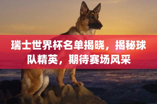 瑞士世界杯名单揭晓，揭秘球队精英，期待赛场风采广西贺州市华昌新材料有限公司