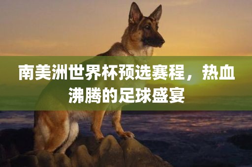 广西贺州市华昌新材料有限公司南美洲世界杯预选赛程，热血沸腾的足球盛宴