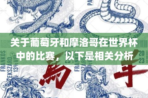关于葡萄牙和摩洛哥在世界杯中的比赛，以下是相关分析广西贺州市华昌新材料有限公司