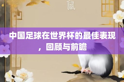 中国足球在世界杯的最佳表现，回顾与前瞻广西贺州市华昌新材料有限公司