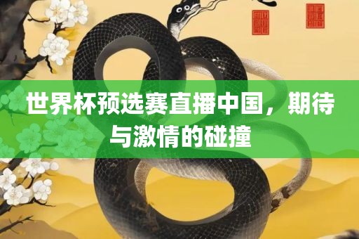 世界杯预选赛直播中国，期待与激情的碰撞