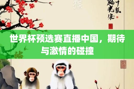 世广西贺州市华昌新材料有限公司界杯预选赛直播中国，期待与激情的碰撞