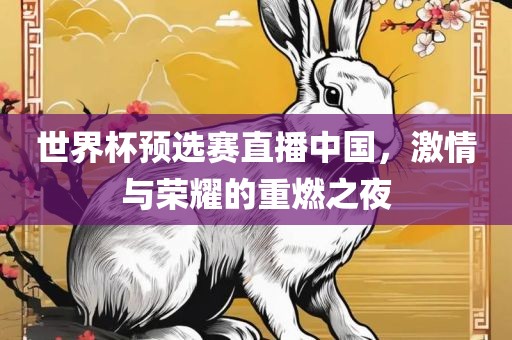 世界杯预选赛直播中国，激情与荣耀的重燃之夜