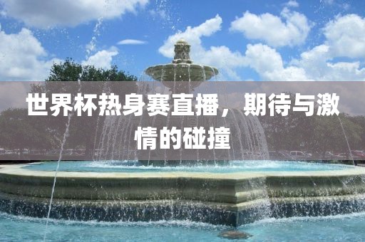 世界杯热身赛直播，期待与激情的碰撞广西贺州市华昌新材料有限公司