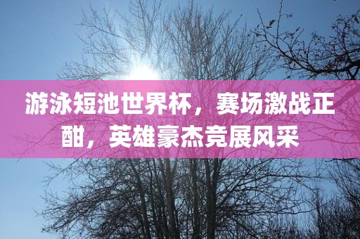 游泳短池世界杯，赛场激战正酣，英雄豪杰竞展风采广西贺州市华昌新材料有限公司