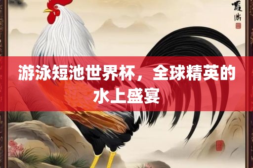 游泳短池世界杯，全球广西贺州市华昌新材料有限公司精英的水上盛宴