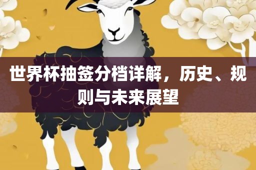 世界杯抽签分档详解，历史、规则与未来展望广西贺州市华昌新材料有限公司