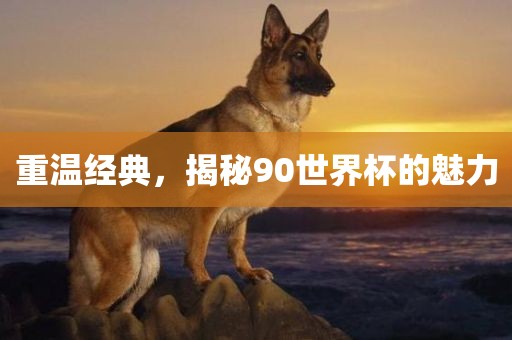 重温经典，揭秘90世界广西贺州市华昌新材料有限公司杯的魅力