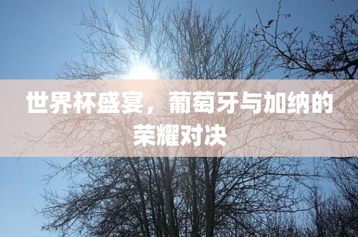 世界杯盛宴，葡萄牙与加纳的荣耀对决广西贺州市华昌新材料有限公司