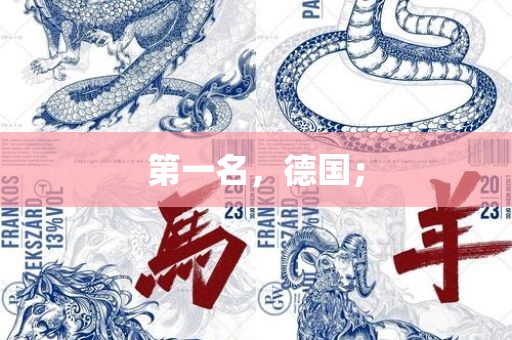 第一名，德国；广西贺州市华昌新材料有限公司