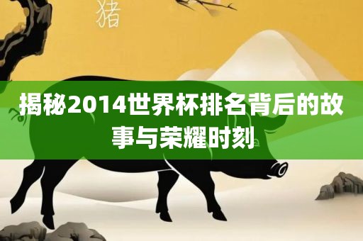 揭秘2014世界杯排名背后的故事与荣耀时刻广西贺州市华昌新材料有限公司