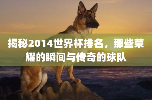 2014世界杯排名