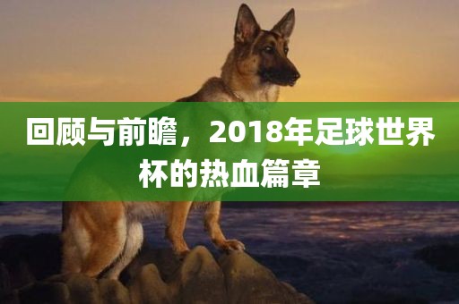 回顾与前瞻，2018年足球世界杯的热血篇章广西贺州市华昌新材料有限公司