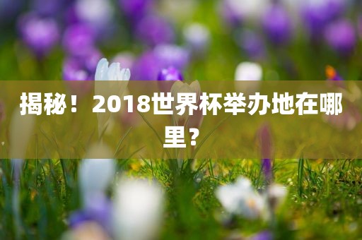揭秘！2018世界杯举办地在哪里？