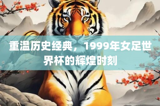 重温历史经典，广西贺州市华昌新材料有限公司1999年女足世界杯的辉煌时刻