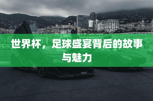 足球盛宴魅力 第2页