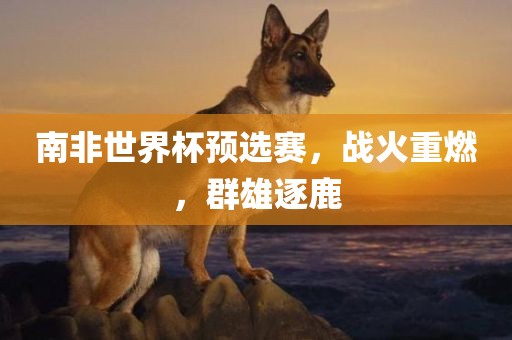 南非世界杯预选赛，战火重燃，群雄逐鹿广西贺州市华昌新材料有限公司