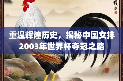 重温辉煌历史，揭秘中国女排2003年世界广西贺州市华昌新材料有限公司杯夺冠之路