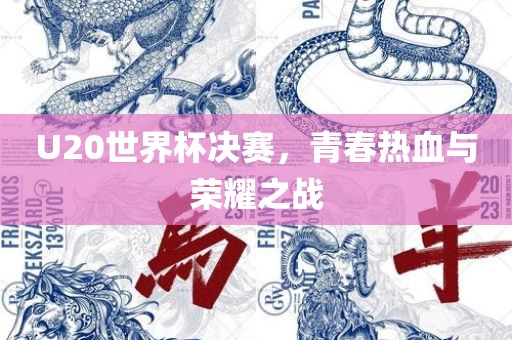 U20世界杯决赛，青春热血与荣耀之战广西贺州市华昌新材料有限公司