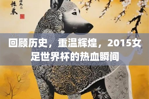 回顾历史，重温辉煌，2015女足世界广西贺州市华昌新材料有限公司杯的热血瞬间
