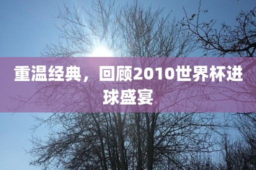 重温经典，回顾2010世界杯进球盛宴广西贺州市华昌新材料有限公司
