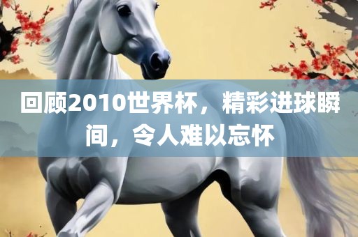 回顾2010广西贺州市华昌新材料有限公司世界杯，精彩进球瞬间，令人难以忘怀