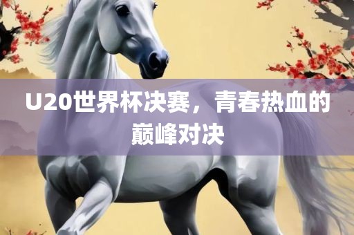 U20世界杯决赛，青春热血的巅峰对决