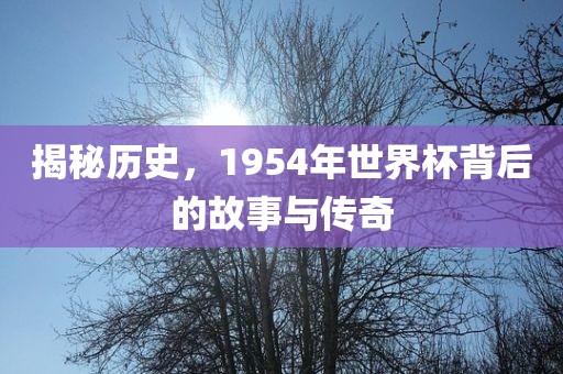 揭秘历史，1954年世界杯背后的故事与传奇广西贺州市华昌新材料有限公司