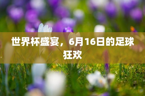 世界杯盛宴，6月16日的足球狂欢广西贺州市华昌新材料有限公司