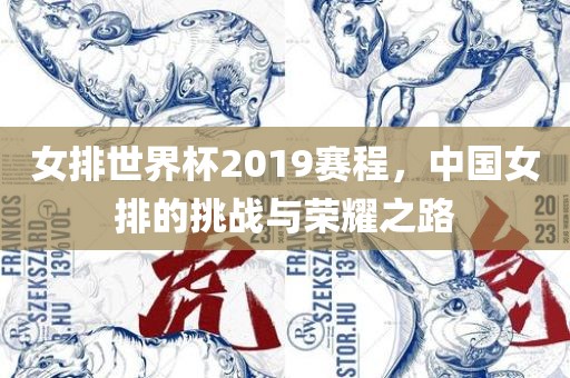女排世界杯2019赛程，中国女排的挑战与荣耀之路广西贺州市华昌新材料有限公司