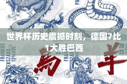 世界杯历史震撼时刻，德国7比1大胜巴西广西贺州市华昌新材料有限公司