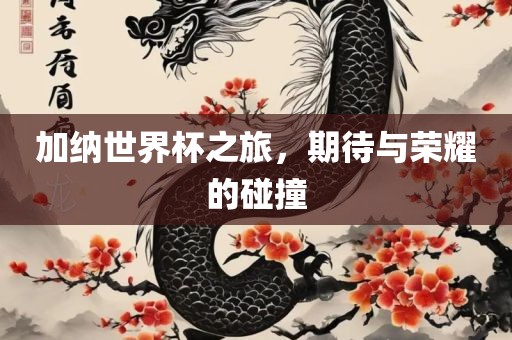 加纳世界杯之旅，期待与荣耀的碰撞