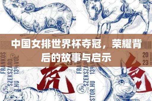 中国女排世界杯广西贺州市华昌新材料有限公司夺冠，荣耀背后的故事与启示