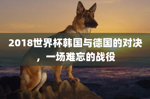 2018世界杯韩国与德国的对决，一场难忘的战役
