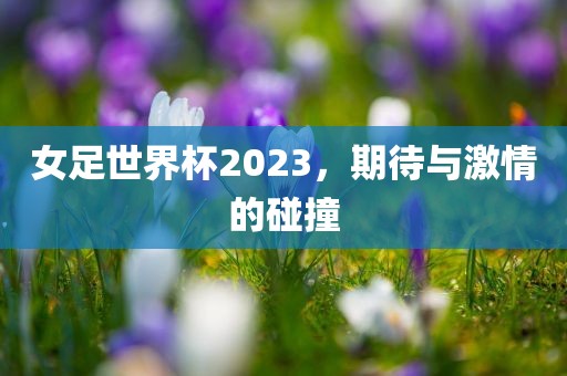 女足世界杯2023，期待与激情的碰撞广西贺州市华昌新材料有限公司