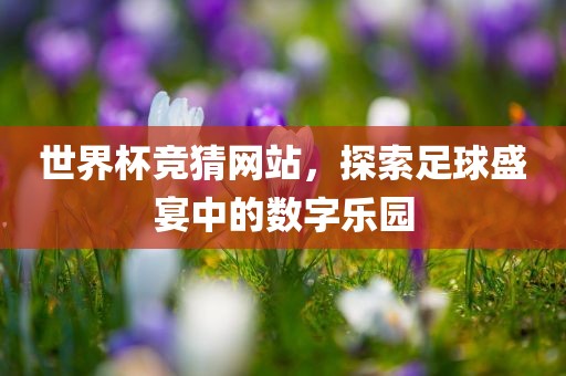 世界杯竞猜网站，探索足球广西贺州市华昌新材料有限公司盛宴中的数字乐园