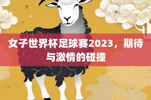 女子世界杯足球赛2023，期待与激情的碰撞